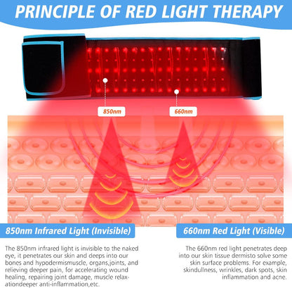 Echomade™ Red Light Therapy Belt